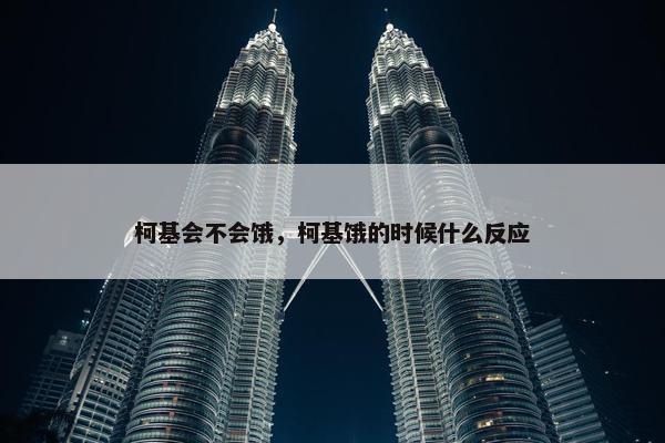 柯基会不会饿，柯基饿的时候什么反应