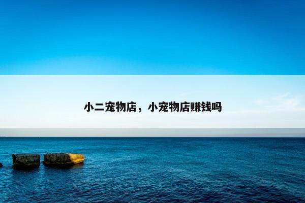 小二宠物店，小宠物店赚钱吗