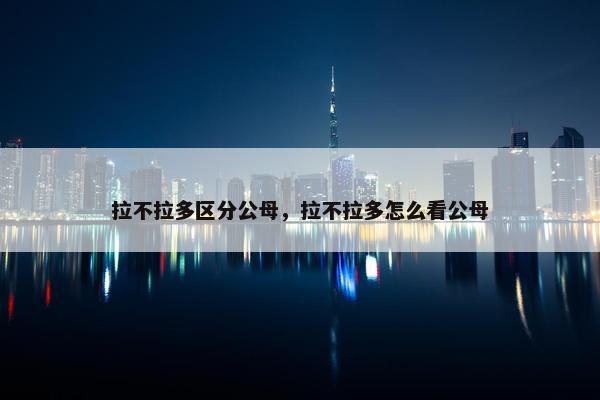 拉不拉多区分公母，拉不拉多怎么看公母
