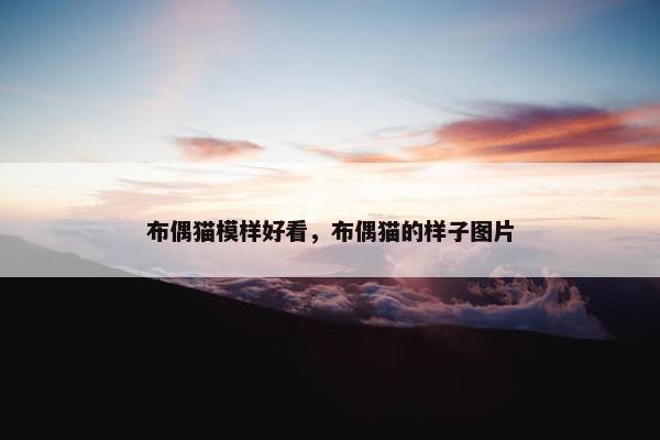 布偶猫模样好看，布偶猫的样子图片