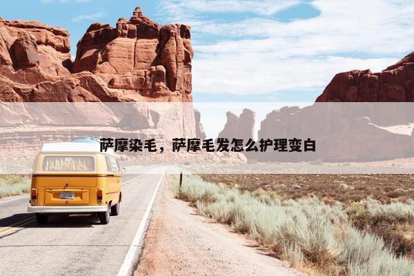 萨摩染毛，萨摩毛发怎么护理变白