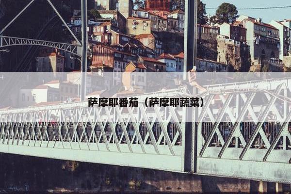 萨摩耶番茄（萨摩耶蔬菜）