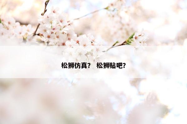 松狮仿真？ 松狮贴吧？