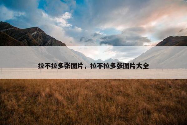 拉不拉多张图片，拉不拉多张图片大全