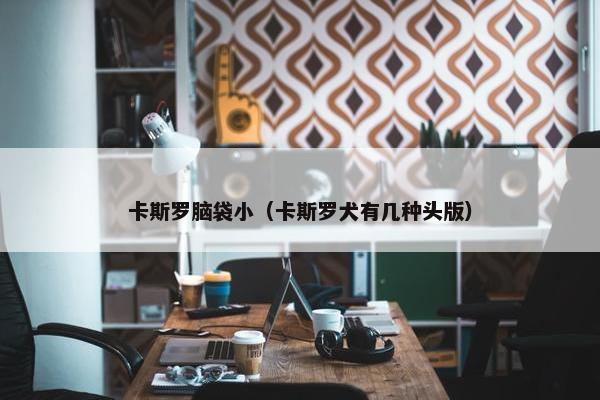 卡斯罗脑袋小（卡斯罗犬有几种头版）