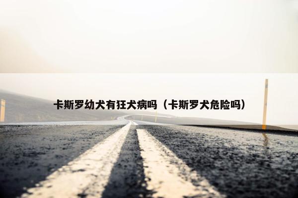 卡斯罗幼犬有狂犬病吗（卡斯罗犬危险吗）