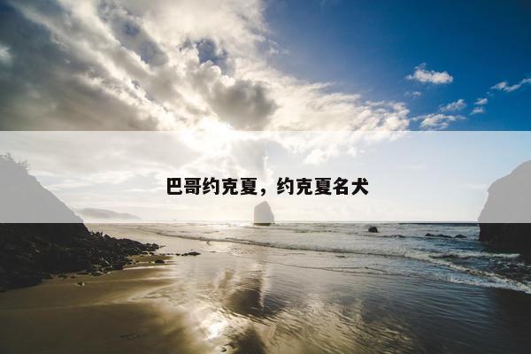 巴哥约克夏，约克夏名犬