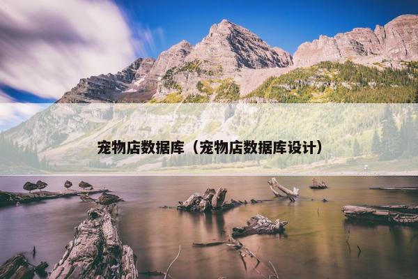 宠物店数据库（宠物店数据库设计）