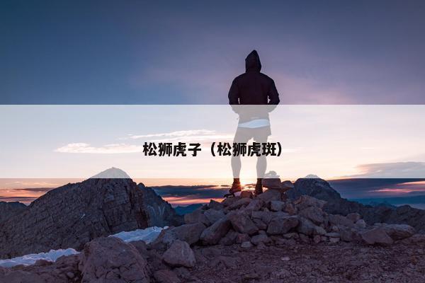 松狮虎子（松狮虎斑）