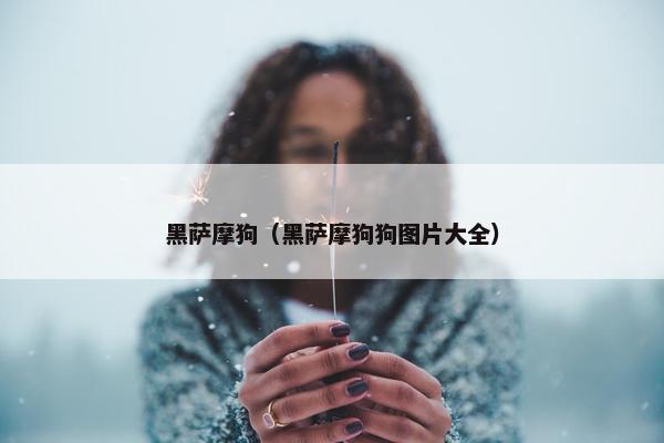 黑萨摩狗（黑萨摩狗狗图片大全）