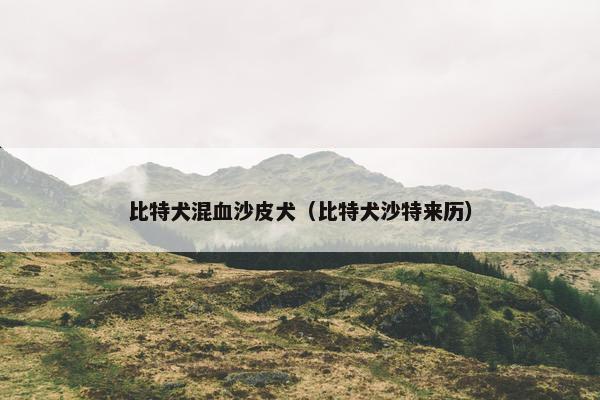 比特犬混血沙皮犬（比特犬沙特来历）