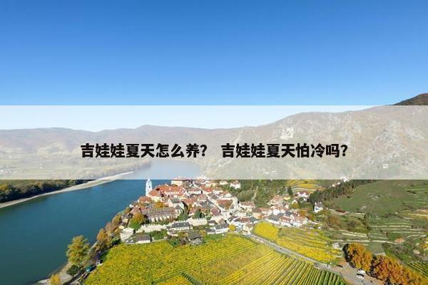 吉娃娃夏天怎么养？ 吉娃娃夏天怕冷吗？