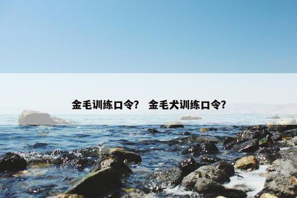 金毛训练口令？ 金毛犬训练口令？