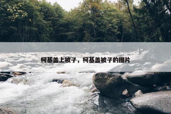 柯基盖上被子，柯基盖被子的图片
