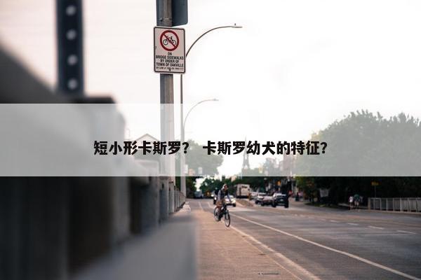 短小形卡斯罗？ 卡斯罗幼犬的特征？