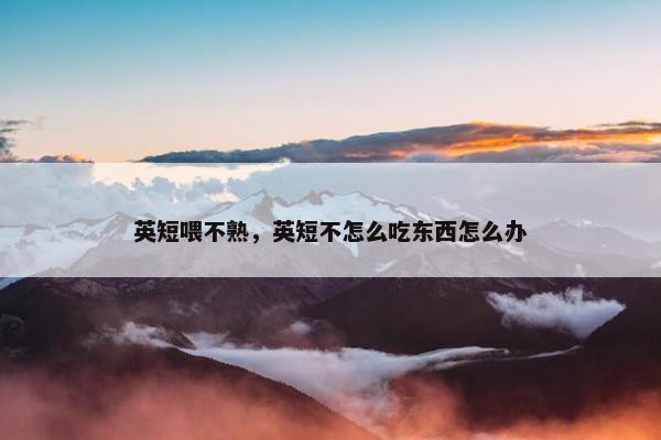 英短喂不熟，英短不怎么吃东西怎么办