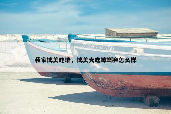 我家博美吃墙，博美犬吃蟑螂会怎么样