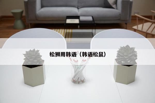 松狮用韩语（韩语松鼠）