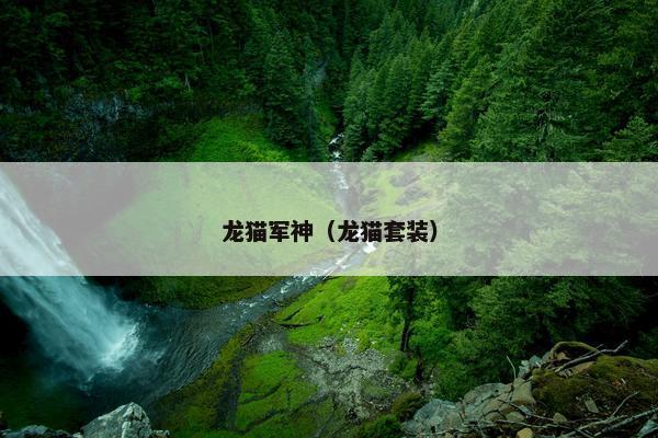 龙猫军神（龙猫套装）