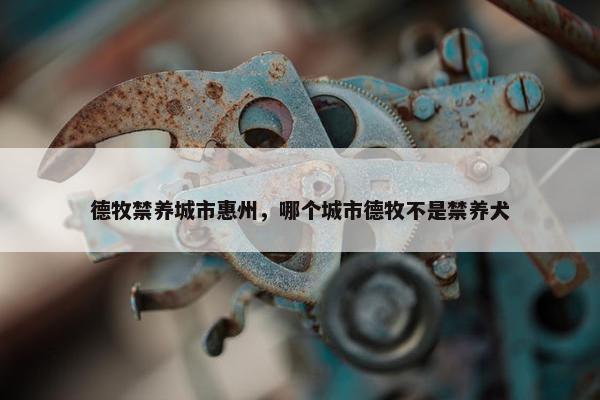 德牧禁养城市惠州，哪个城市德牧不是禁养犬