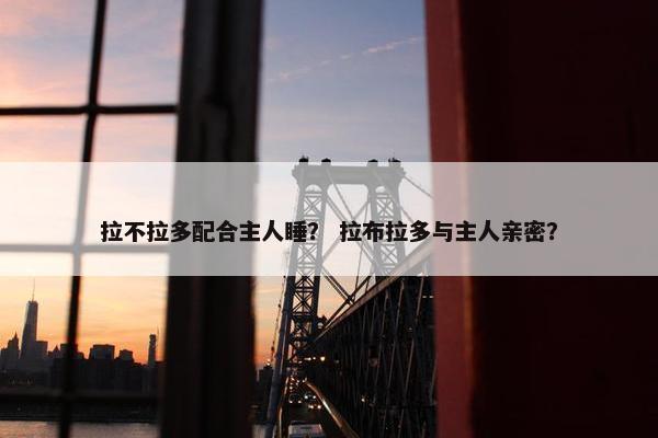 拉不拉多配合主人睡？ 拉布拉多与主人亲密？