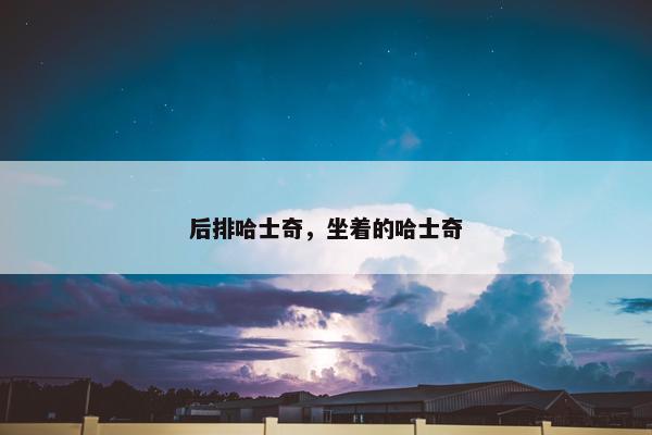 后排哈士奇，坐着的哈士奇