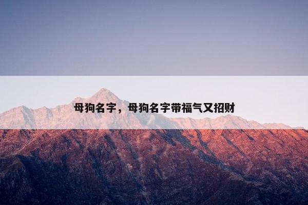 母狗名字，母狗名字带福气又招财
