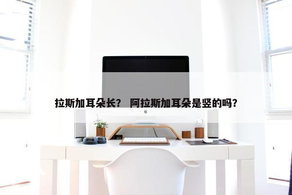 拉斯加耳朵长？ 阿拉斯加耳朵是竖的吗？