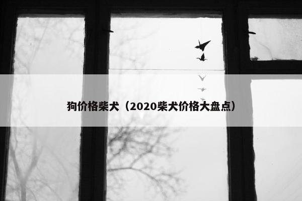 狗价格柴犬（2020柴犬价格大盘点）