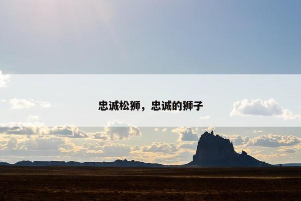 忠诚松狮，忠诚的狮子