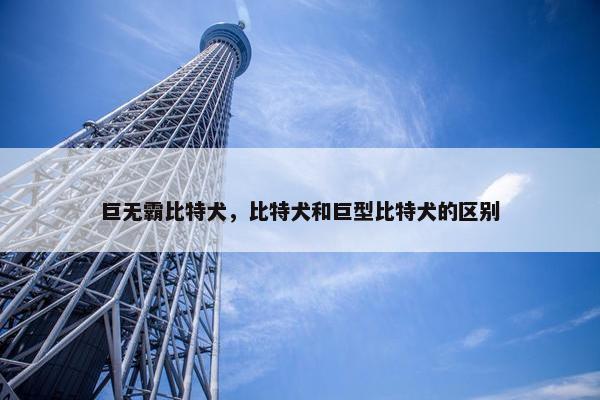巨无霸比特犬，比特犬和巨型比特犬的区别