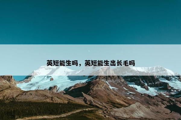 英短能生吗，英短能生出长毛吗