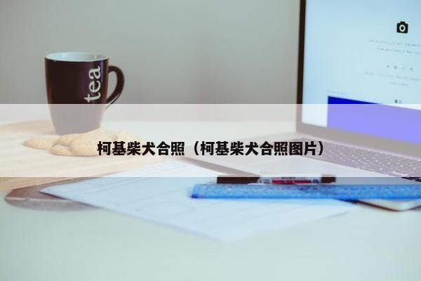 柯基柴犬合照（柯基柴犬合照图片）