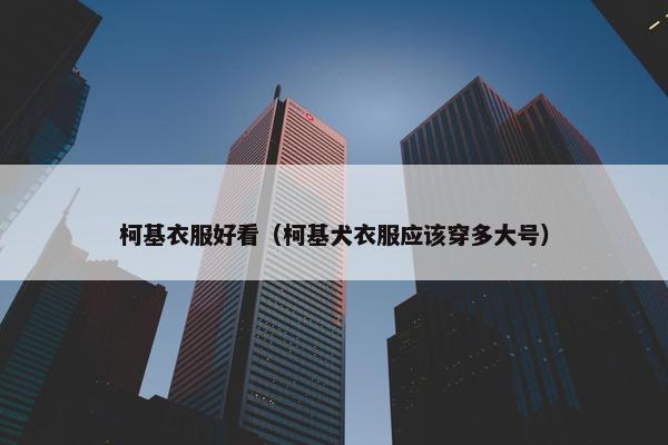 柯基衣服好看（柯基犬衣服应该穿多大号）