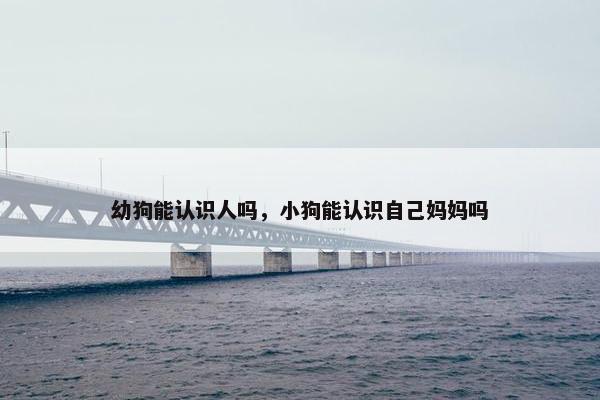 幼狗能认识人吗，小狗能认识自己妈妈吗
