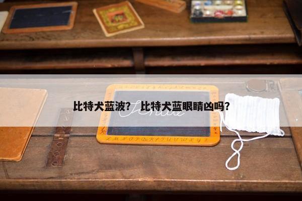 比特犬蓝波？ 比特犬蓝眼睛凶吗？