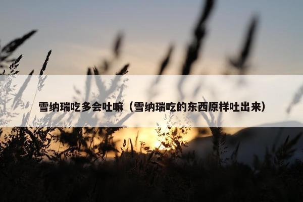 雪纳瑞吃多会吐嘛（雪纳瑞吃的东西原样吐出来）
