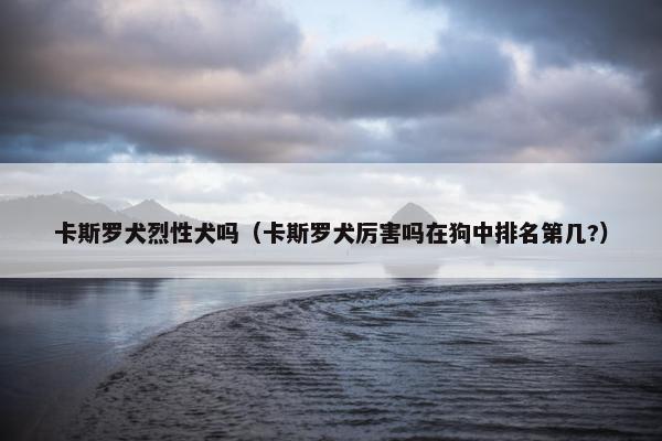 卡斯罗犬烈性犬吗（卡斯罗犬厉害吗在狗中排名第几?）