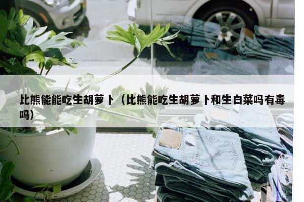 比熊能能吃生胡萝卜（比熊能吃生胡萝卜和生白菜吗有毒吗）