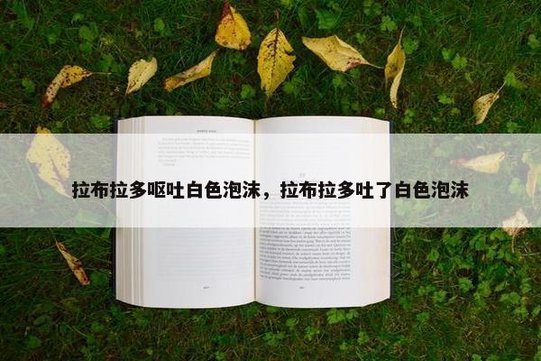 拉布拉多呕吐白色泡沫，拉布拉多吐了白色泡沫