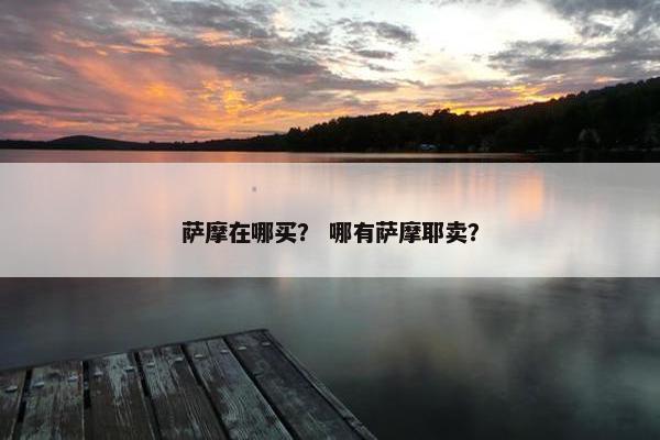 萨摩在哪买？ 哪有萨摩耶卖？
