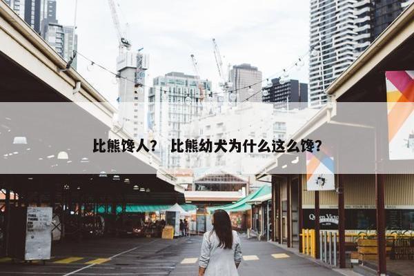 比熊馋人？ 比熊幼犬为什么这么馋？