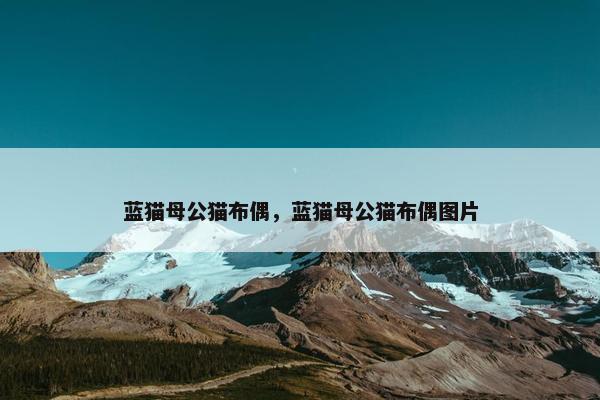 蓝猫母公猫布偶，蓝猫母公猫布偶图片