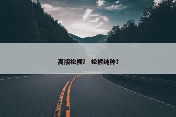 高版松狮？ 松狮纯种？
