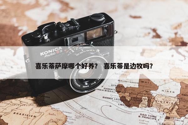 喜乐蒂萨摩哪个好养？ 喜乐蒂是边牧吗？