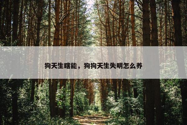 狗天生瞎能，狗狗天生失明怎么养