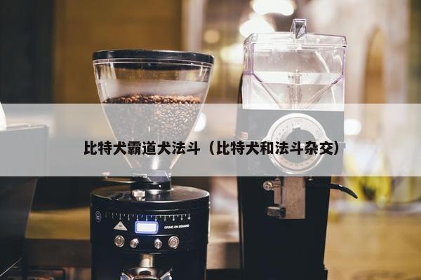 比特犬霸道犬法斗（比特犬和法斗杂交）