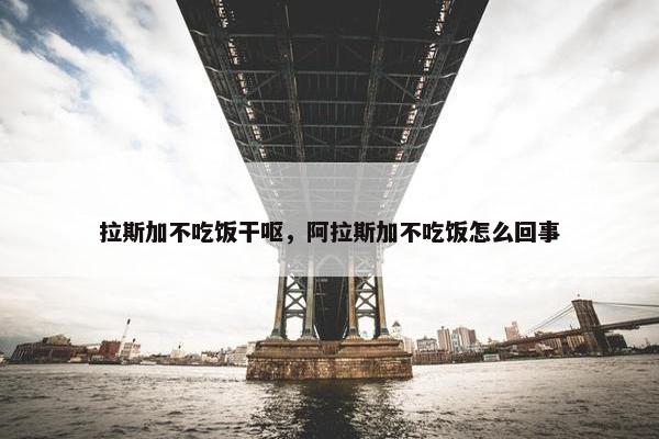 拉斯加不吃饭干呕，阿拉斯加不吃饭怎么回事