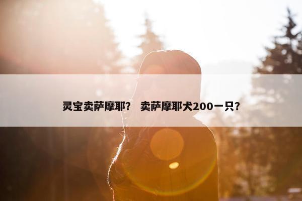 灵宝卖萨摩耶？ 卖萨摩耶犬200一只？