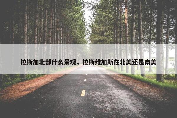 拉斯加北部什么景观，拉斯维加斯在北美还是南美